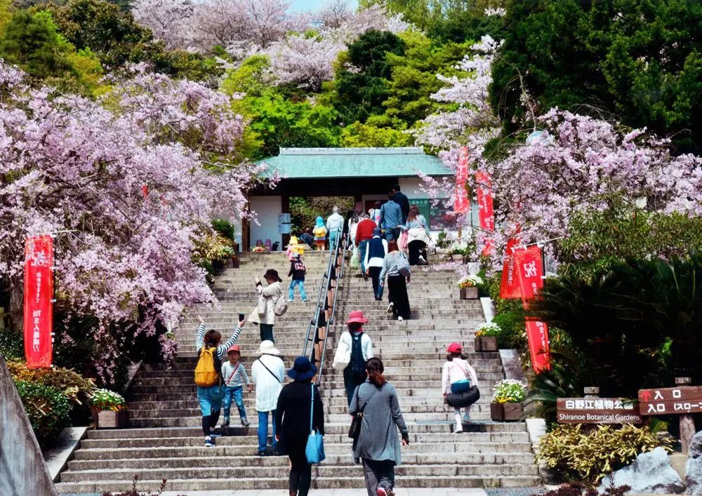 🌳 시라노에 식물공원 이미지 1